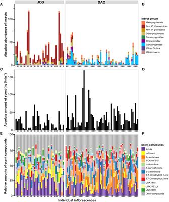 Variation in scent amount but not in composition correlates with pollinator visits within populations of deceptive Arum maculatum L. (Araceae)